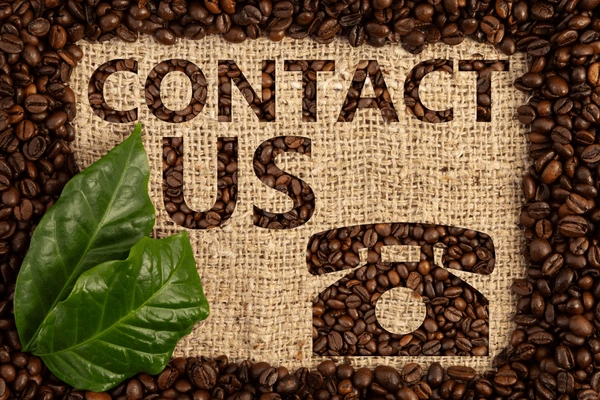 Contact